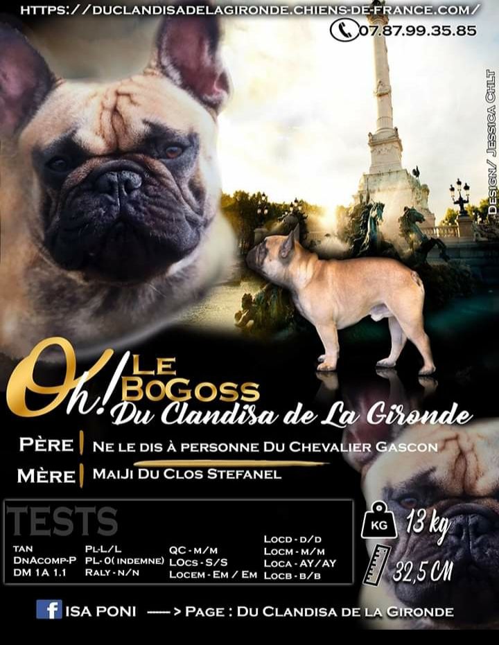 Oh le bogoss Du Clandisa De La Gironde